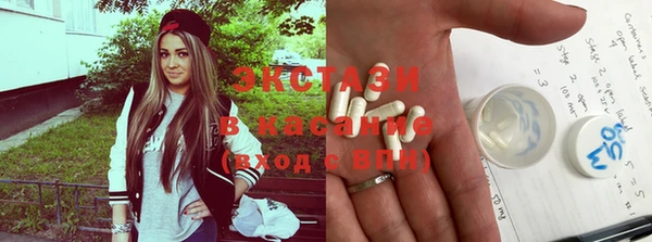 СК Протвино