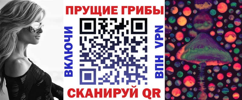 Купить закладки  Цивильск  Галлюциногенные грибы GOLDEN TEACHER 