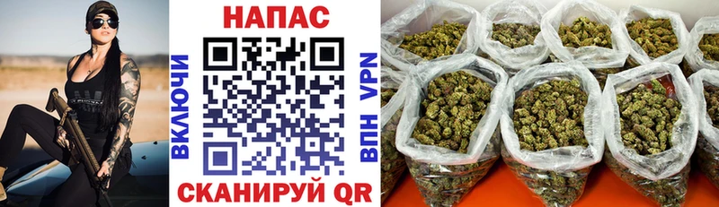 Конопля OG Kush  Купить закладки  Цивильск 